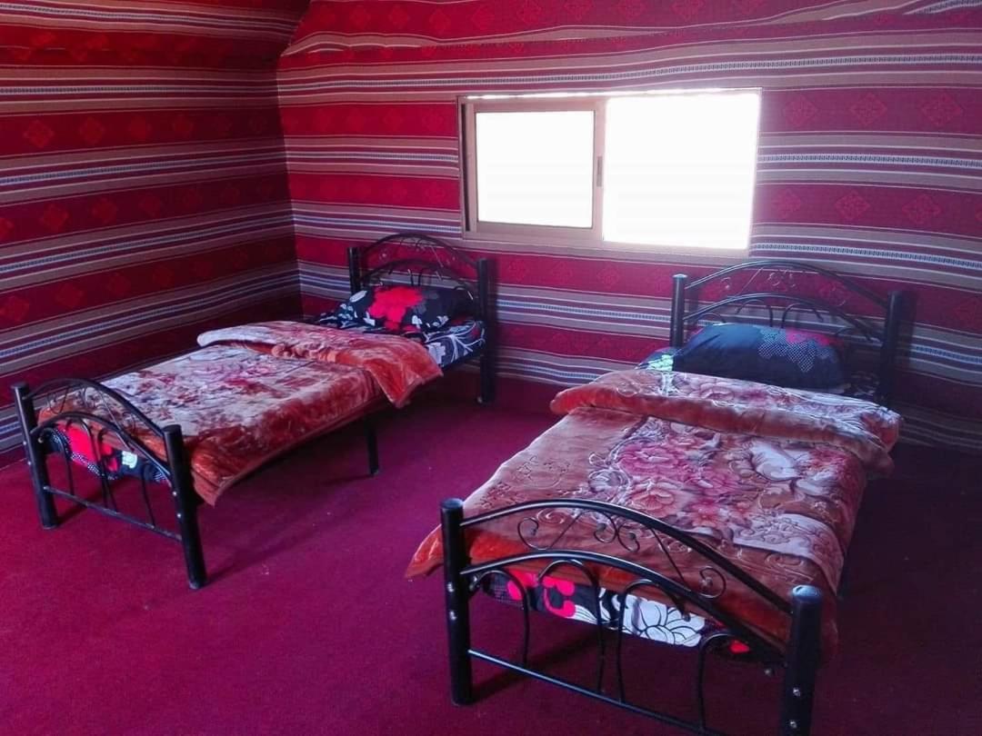 Wadi Rum Local Guide Camp Chambre photo